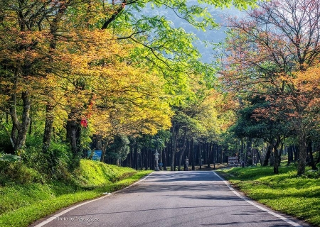 Ba Vi National Park